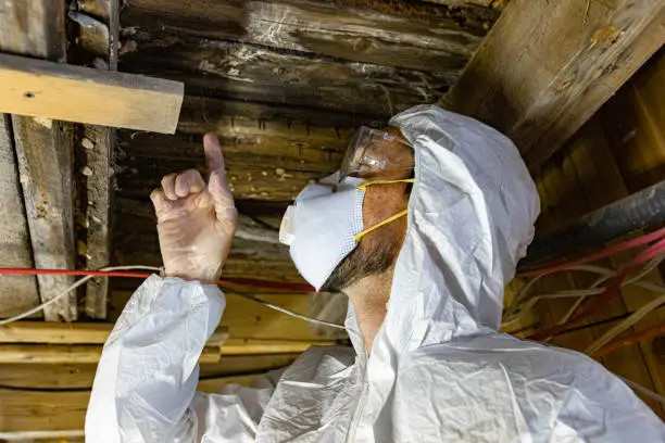 Mold remediation specialist inspecting basement – damage restoration