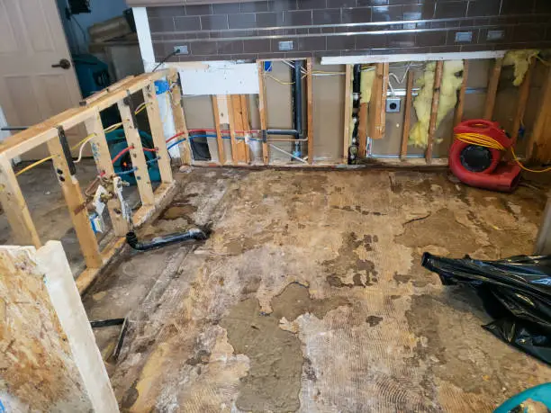 Water damage and mold found during a bathroom renovation project