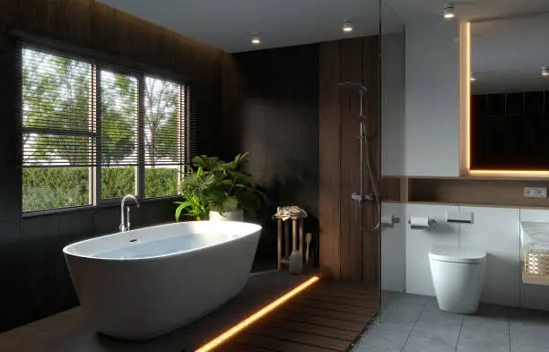 Modern bathroom remodel with walk-in shower and freestanding tub