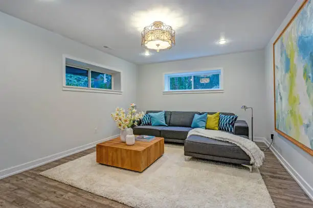 Finished basement remodel featuring a cozy modern living room setup