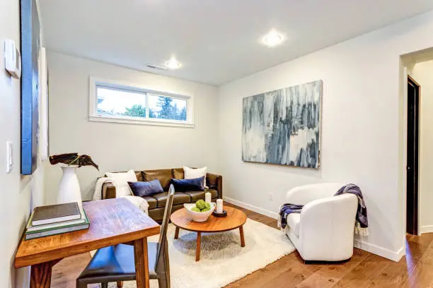 Basement remodeling for functional home additions and guest living areas