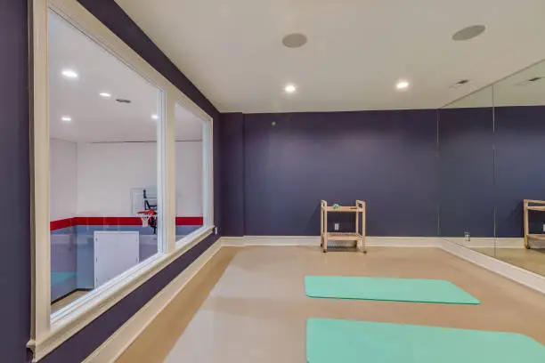 Basement remodel with dedicated fitness and meditation zones