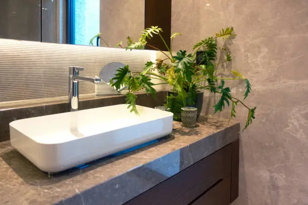 Bathroom renovation featuring low-flow fixtures, natural stone tiles, and indoor plants