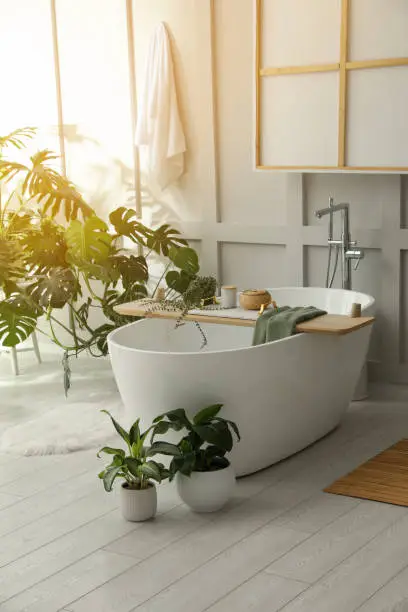 Spa-style bathroom remodel with natural light, plants, and wellness-focused fixture