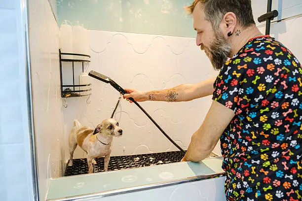 Pet-friendly bathroom remodel featuring a walk-in shower and grooming space for dogs