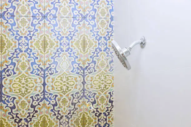 Bathroom with repurposed tiles and low-flow showerhead.