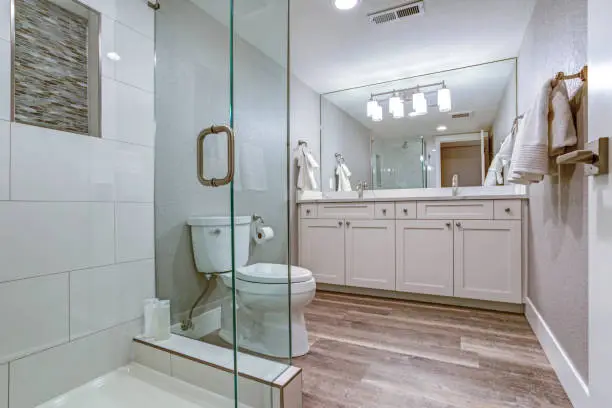 Bathroom with frameless shower and affordable flooring