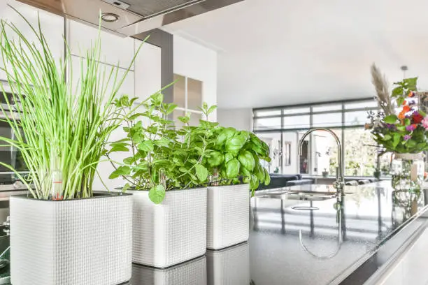 Stylish kitchen with eco-friendly herb garden systems