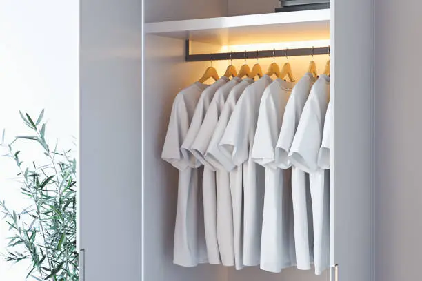 Small closet with adjustable rods and LED lighting